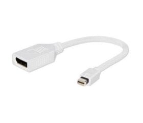 Gembird - Adapter DISPLAYPORT Mini(M)->DISPLAYPORT(F) цена и информация | Адаптеры и USB-hub | kaup24.ee