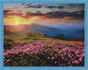 Teemantmosaiigi komplekt 40x50 cm. Teemanditikand, mosaiik-pilt "Blooming field at sunset" hind ja info | Teemantmaalid, teemanttikandid | kaup24.ee