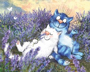 Teemantmosaiigi komplekt 40x50 cm. Teemanditikand, mosaiik-pilt "Cats in lavender" цена и информация | Алмазная мозаика | kaup24.ee