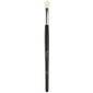 Meigipintsel Peggy Sage Blending Brush цена и информация | Meigipintslid, -käsnad | kaup24.ee