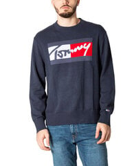 Мужской свитер Tommy Hilfiger Jeans, синий цена и информация | свитер e193 - черный | kaup24.ee
