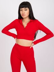 Naise punane Basic pluus hind ja info | Naiste pluusid, särgid | kaup24.ee