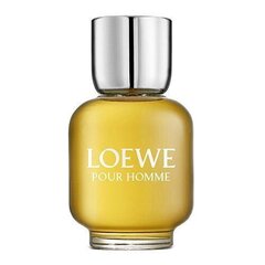 Tualettvesi Loewe 7 Pour Homme EDT meestele, 150 ml цена и информация | Мужские духи | kaup24.ee