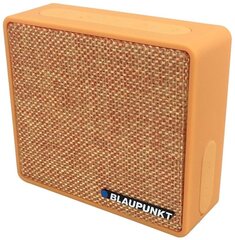 Аудиоколонка Blaupunkt, коричневая цена и информация | BLAUPUNKT Компьютерная техника | kaup24.ee