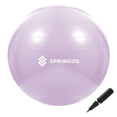 Мяч для упражнений с насосом Springos FB0011 65 см цена и информация | Гимнастические мячи | kaup24.ee