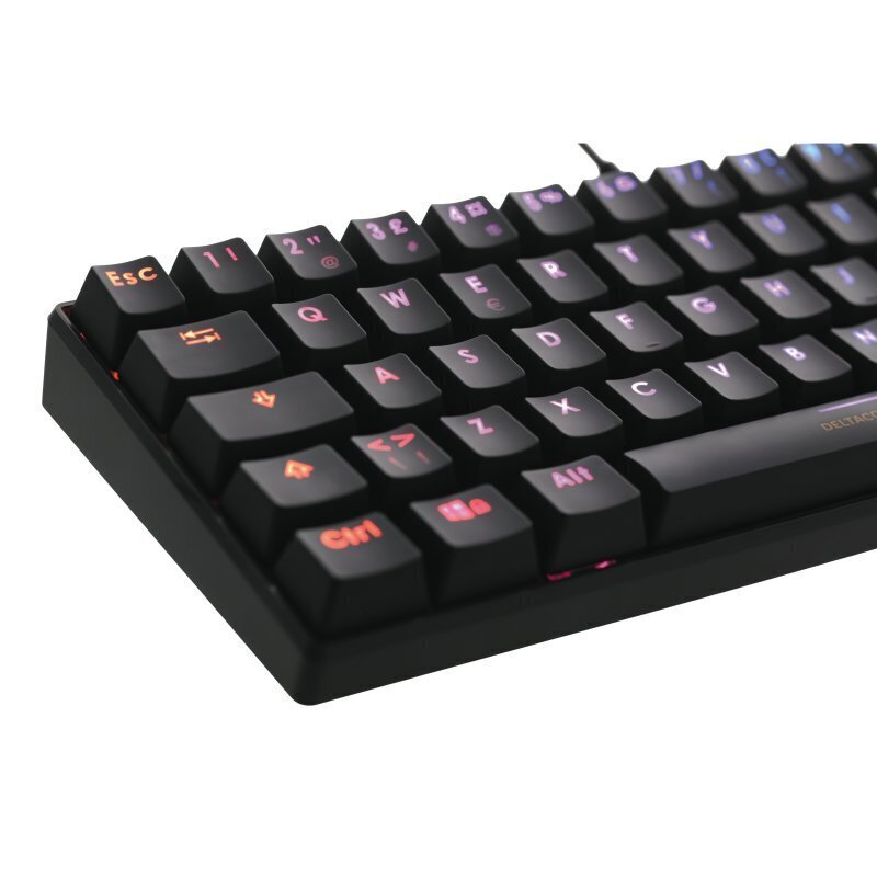 Klaviatuur mängurile Deltaco Gaming 60% mehhaaniline, brown lülitid, Usb, Rgb, Nordic цена и информация | Klaviatuurid | kaup24.ee