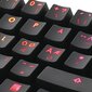 Klaviatuur mängurile Deltaco Gaming 60% mehhaaniline, brown lülitid, Usb, Rgb, Nordic hind ja info | Klaviatuurid | kaup24.ee