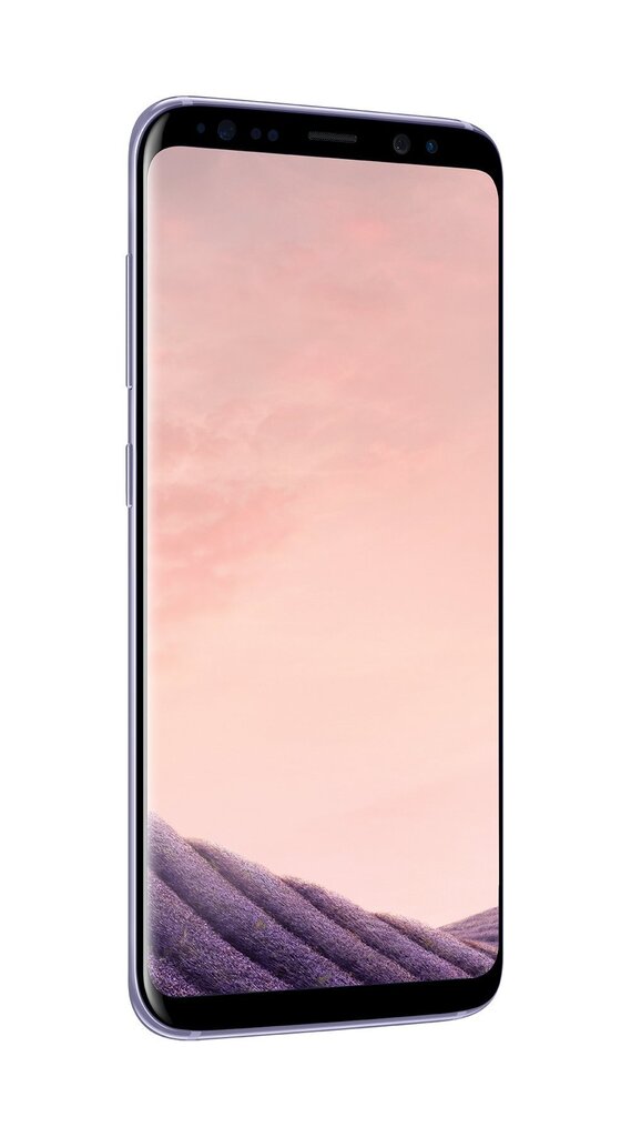 Samsung Galaxy S8 (G950) 64GB, Hall (Orchid gray) цена и информация | Telefonid | kaup24.ee