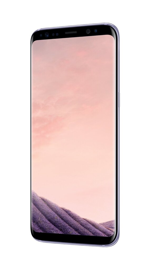 Samsung Galaxy S8 (G950) 64GB, Hall (Orchid gray) hind ja info | Telefonid | kaup24.ee