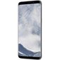 Samsung Galaxy S8 (G950) 64GB, Hõbedane цена и информация | Telefonid | kaup24.ee