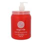 Toitev juuksemask Stapiz Argan De Moist & Care 1000 ml hind ja info | Maskid, õlid, seerumid | kaup24.ee