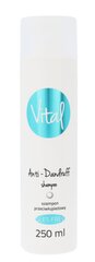 Stapiz Vital Anti-Dandruff Shampoo šampoon 250 ml цена и информация | Шампуни | kaup24.ee