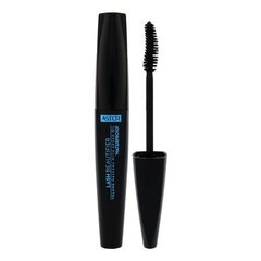 ASTOR Lash Beautifier With Argan Oil тушь для ресниц 10 мл, 800 Black цена и информация | Тушь, средства для роста ресниц, тени для век, карандаши для глаз | kaup24.ee