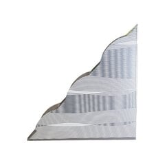 Magnet FLY elegant kleepuv lõks, 2 tk hind ja info | Putukad | kaup24.ee