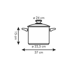 Tescoma kaanega pott Presto, 7 l hind ja info | Potid ja kiirkeedupotid | kaup24.ee