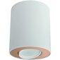 Nowodvorski Lighting laevalgusti 8896 Set White/Gold hind ja info | Laelambid | kaup24.ee