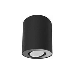 Nowodvorski Lighting потолочный светильник 8902 Set Black/Silver цена и информация | Потолочные светильники | kaup24.ee