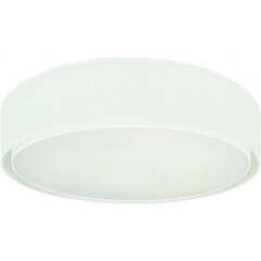 Nowodvorski Lighting laevalgusti 8944 Mist VII hind ja info | Laelambid | kaup24.ee