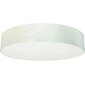 Nowodvorski Lighting laevalgusti 8957 Laguna Cream IV цена и информация | Laelambid | kaup24.ee