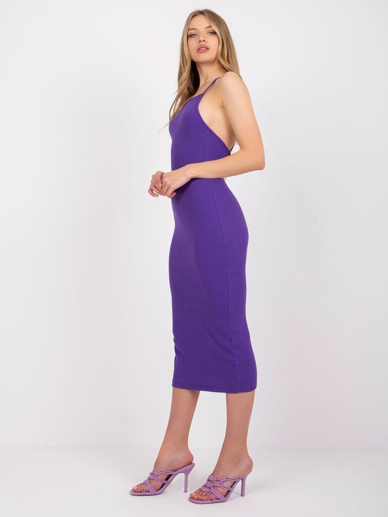 Naine tumelilla Basic kleit hind ja info | Kleidid | kaup24.ee