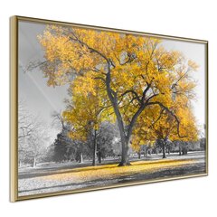 Poster - Golden Tree hind ja info | Seinapildid | kaup24.ee