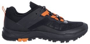Женская повседневная обувь Icepeak Aigio MS 75276-9*990, черная 6438496750521 цена и информация | Спортивная обувь, кроссовки для женщин | kaup24.ee