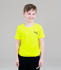Детская футболка Puma 586980*30, желтая 4063697145634 цена и информация | Рубашки для мальчиков | kaup24.ee