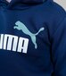 Puma laste dressipluus 586987*96, tumesinine 4064535717181 цена и информация | Poiste kampsunid, vestid ja jakid | kaup24.ee