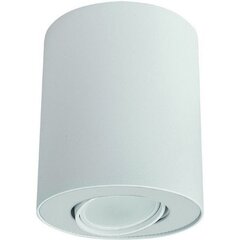 Nowodvorski Lighting laevalgusti 8895 Set White/White цена и информация | Потолочные светильники | kaup24.ee