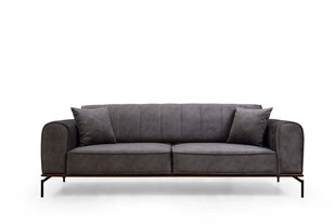 Трехместный диван Kalune Design Siesta, серый цена и информация | Диваны | kaup24.ee
