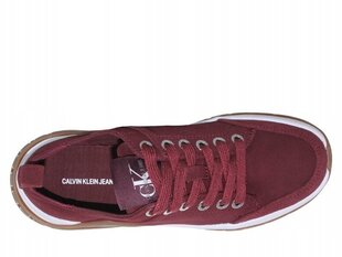 Naiste jalanõud Calvin Klein Tisha, nahast, B4R0764 цена и информация | Спортивная обувь, кроссовки для женщин | kaup24.ee