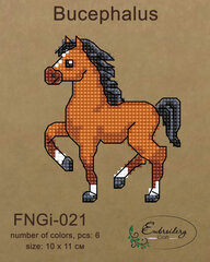Tikandite komplekt Embroidery Craft FNNGI-021 hind ja info | Tikkimistarvikud | kaup24.ee