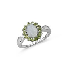 Серебряное (925) кольцо с драгоценными камнями, код ah5359-1213 AH5359-1213EU-55 цена и информация | Кольцо | kaup24.ee