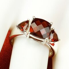 Серебряное (925) кольцо с драгоценными камнями, код ah50064 AH50064 цена и информация | Кольцо | kaup24.ee