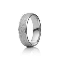 Серебряное (925) кольцо с классическим дизайном, код ah5ss5533 AH5SS5533EU-64 цена и информация | Кольца | kaup24.ee
