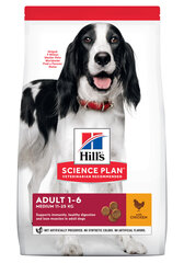 Hill's Science Plan Medium Adult Breeder bag koeratoit kanaga, 14 kg цена и информация | Сухой корм для собак | kaup24.ee