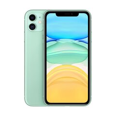 iPhone 11 64GB Green (kasutatud, seisukord A) цена и информация | Мобильные телефоны | kaup24.ee