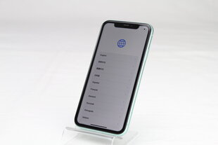 iPhone 11 64GB Green (kasutatud, seisukord A) цена и информация | Мобильные телефоны | kaup24.ee