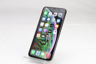 Телефон iPhone XS Max 256GB Space Gray (подержанный, состояние A) цена и информация | Мобильные телефоны | kaup24.ee