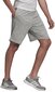 Adidas Lühikesed Püksid M Mel Short Grey HE1803 HE1803/XL цена и информация | Meeste spordiriided | kaup24.ee