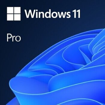 Microsoft Windows 11 Professional 64-bit OEM ENG цена и информация | Операционные системы | kaup24.ee