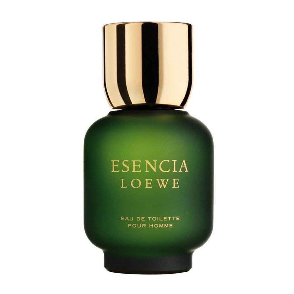Meeste parfüüm Esencia Loewe EDT: Maht - 100 ml hind ja info | Meeste parfüümid | kaup24.ee