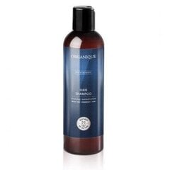 Šampoon Organique Vala Homme 250 ml hind ja info | Šampoonid | kaup24.ee