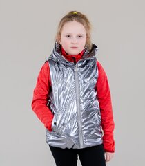 Happy House vest lastele 902045 02, hõbedane värv цена и информация | Куртки, пальто для девочек | kaup24.ee
