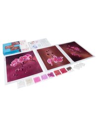 Tikkimiskomplekt MiniArt Crafts Pink Orchids triptych hind ja info | Tikkimistarvikud | kaup24.ee