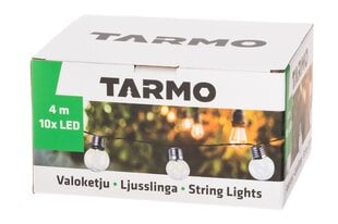 Уличная гирлянда Tarmo 10 LED, 2м цена и информация | Уличное освещение | kaup24.ee