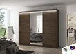 LED valgustusega kapp ADRK Furniture Denis, pruun hind ja info | Kapid | kaup24.ee
