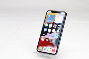 iPhone X 256GB Space Gray (kasutatud, seisukord A) цена и информация | Мобильные телефоны | kaup24.ee