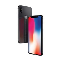 iPhone X 256GB Space Gray (kasutatud, seisukord A) цена и информация | Мобильные телефоны | kaup24.ee