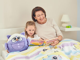 Emotion öökulli perekond Dormeo hind ja info | Pehmed mänguasjad | kaup24.ee